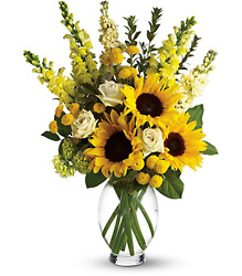 Here Comes The Sun by Teleflora from Carl Johnsen Florist in Beaumont, TX